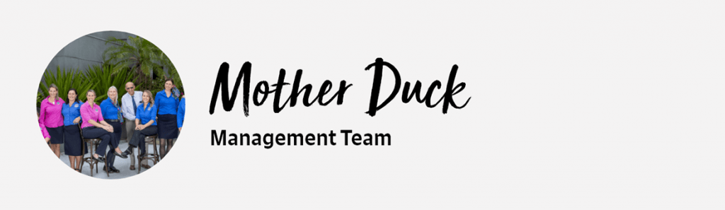 Signoff-Management-Team-Update