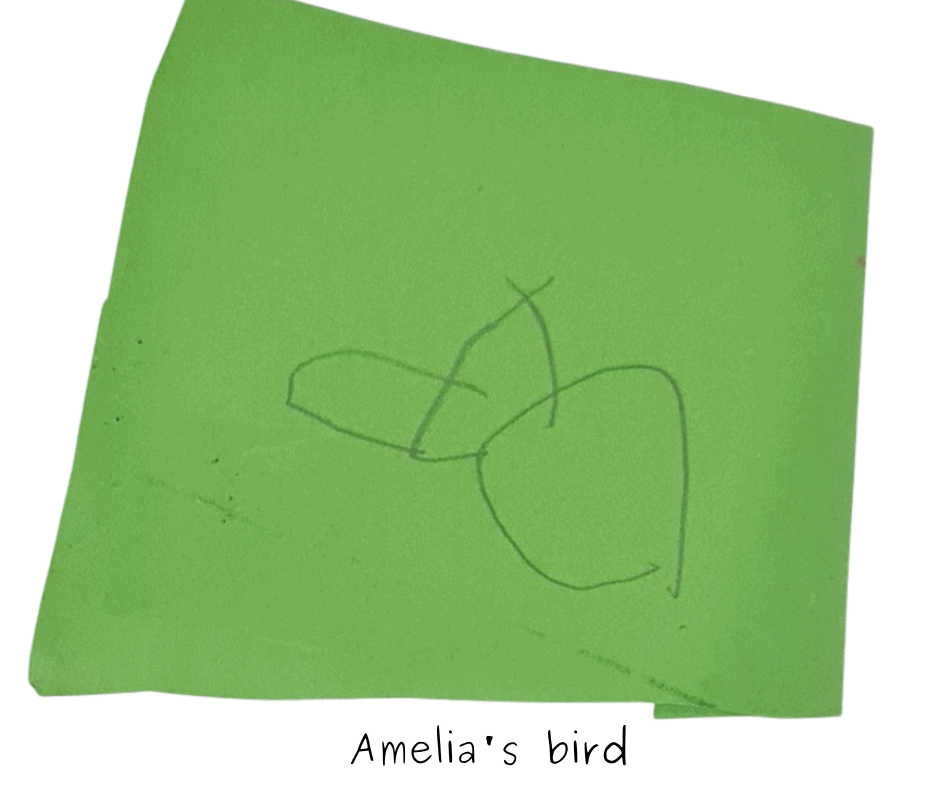 Amelia's bird